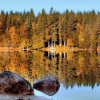 Naturaleza