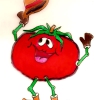 ¡Hola soy Pichín!