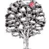 EL BALÓN