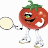 ¡Pichín, el tomate parlanchin!