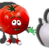 Pichín, el tomate parlanchín