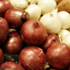 Cebollas