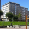 Paisajismo Urbano – El Ventanuco