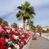 Paseando por Valencia – El Ventanuco