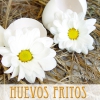 Un nuevo libro de Francisco Ponce