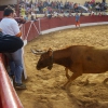 Santa Eulalia del Campo – Mañana de entrada