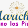 Marichu Fernández – México (XI)