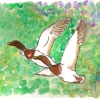 Día Internacional de las Aves – Calendario verde