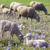 Santa Eulalia del Campo, ya tiene ‘rotonda’