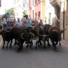 Castellnovo con la fiesta de los toros 2012