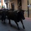 Castellnovo – Entrada de toros 2008