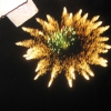 Santa Eulalia del Campo – Fiestas 2009