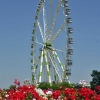 La noria – Feria de julio de Valencia
