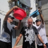 Castellnovo – Vaquillas, toro ‘embolao’ y calor