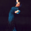 Tamara Navarro Soriano de Castellnovo – “El Ventanuco”