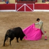 Santa Eulalia del Campo – Novillada 2009