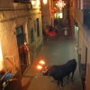 Castellnovo toro ‘embolao’ 2011