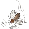 Zzaaassss… (Microrrelato)