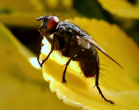 Fotografía de: José Luis Vila Castañer Fotografía de: José Luis Vila Castañer