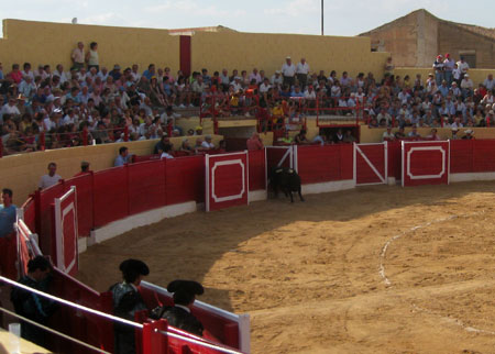 Salida de Toriles