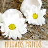 Un nuevo libro de Francisco Ponce
