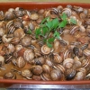 Tertulias y cenas