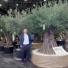 Iberflora y Vegetal World 2014 – El Ventanuco