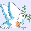 Fecha por la Paz y la NO violencia “La Columna”