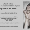 Ricardo Collado Varea presenta “Lagrimas en mis manos”