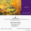 Mari Carmen Satué o los colores del óleo – «El Ventanuco»