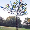 Árbol de ‘botella’ no caduca – El Ventanuco