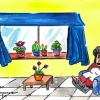 Plantas para dentro de casa – El Ventanuco