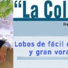 Somos “La Leche” – La Columna de opinión