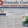 Cebras a un «PASO»… – Granada Costa Periódico