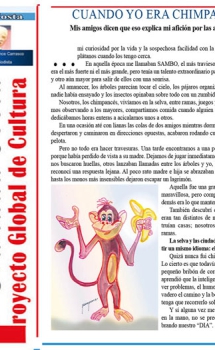 Cuando yo era chimpancé – Granada Costa (Prensa)