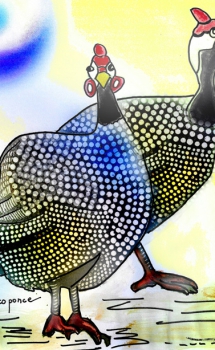 Gallinas pintadas – A TODA COSTA