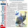 Gallinas pintadas – A TODA COSTA – Periódico