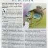 Tiempo de “Horchata” – A TODA COSTA