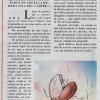 Me tienen «MOSCA…», las MOSCAS