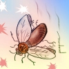 Las moscas cojoneras – A TODA COSTA