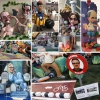 Fallas con Política – El Ventanuco