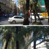 Palomas de la Paz en la calle de la Paz de Valencia – El Ventanuco
