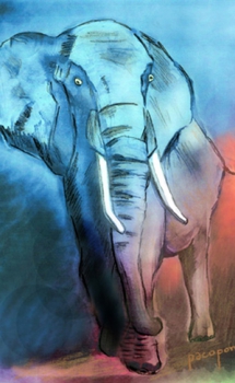 Día Mundial del Elefante 2022 – El Ventanuco