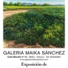 Galería Maika Sánchez (Valencia)-Francesc Vidal – El Ventanuco