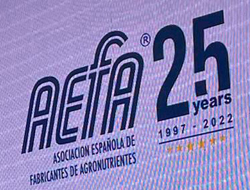 aefa -25 logo