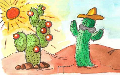 Puzzle de Cactus