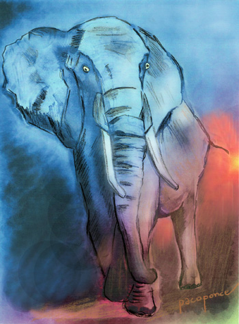 elefante-dibujo