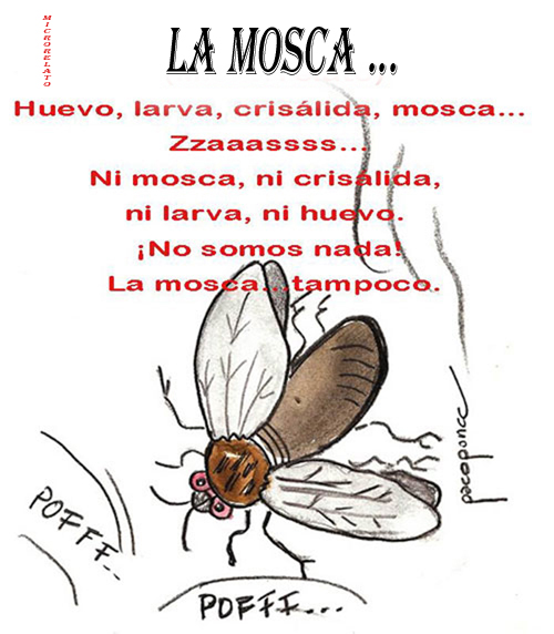 mosca-de-francisco-ponce