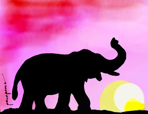 poner-elefante