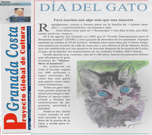 gato-grande